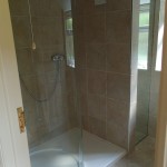 Walk in shower and mirrored cupboard