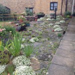 The original period terrace tidied up and planted